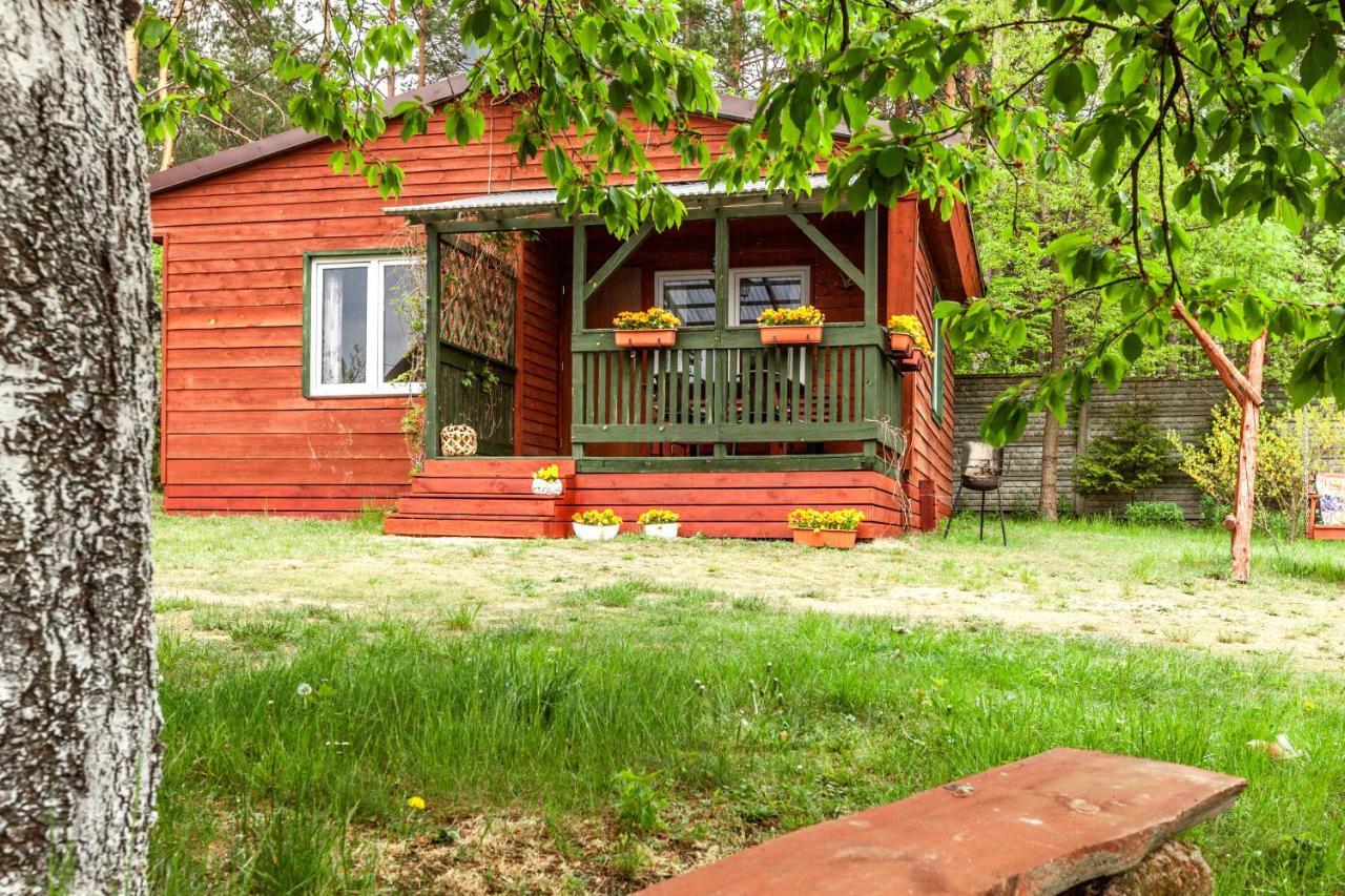 Gryfne Kaszuby Villa Kamienica Krolewska Exterior foto