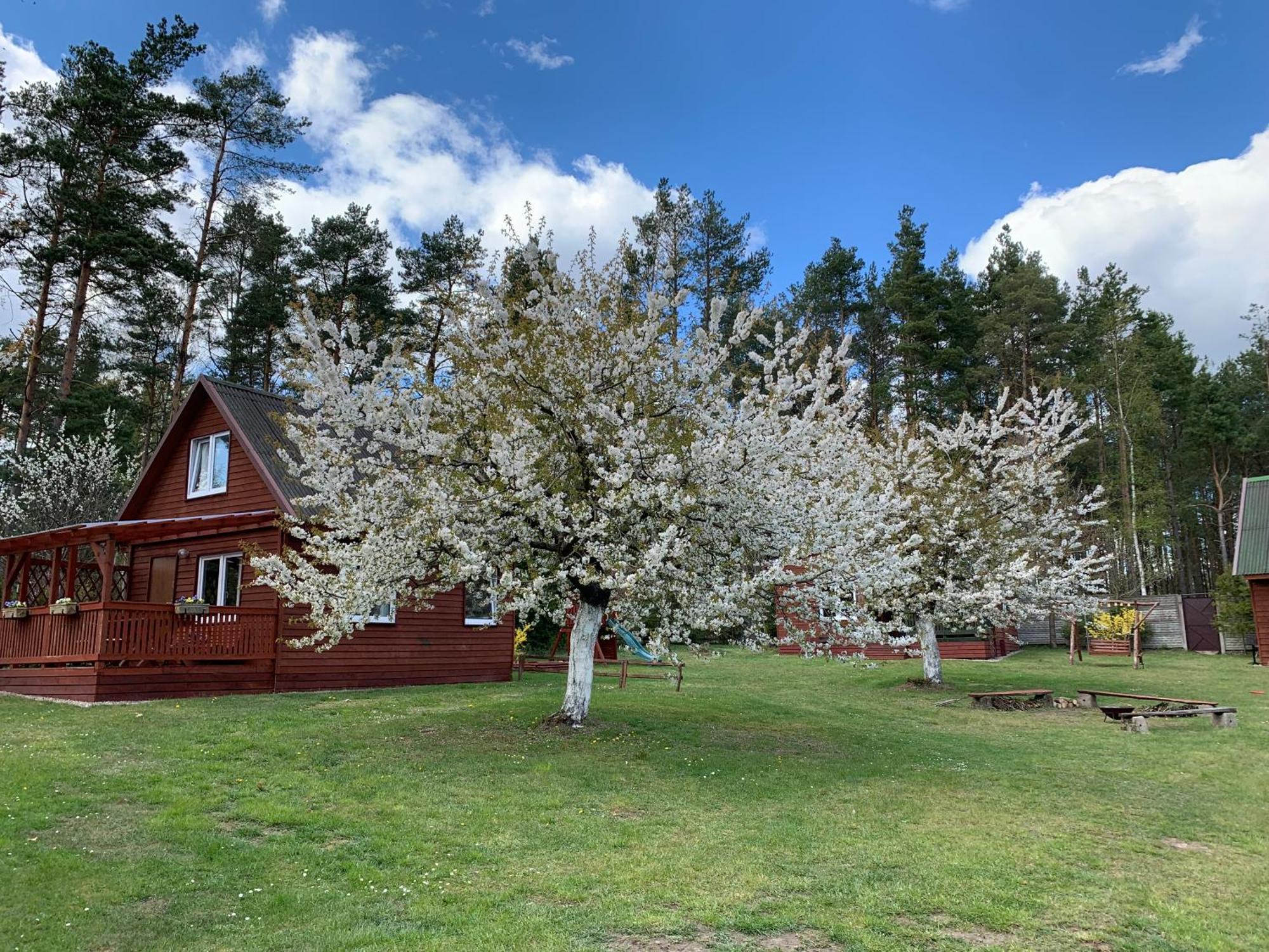 Gryfne Kaszuby Villa Kamienica Krolewska Exterior foto